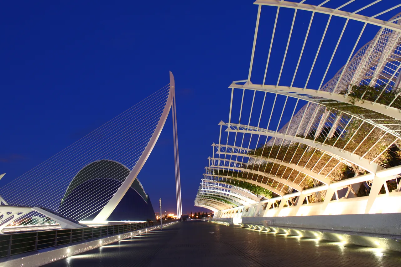 Illuminated buildings and bridge reflected in water at Valencia’s City of Arts and Sciences at night